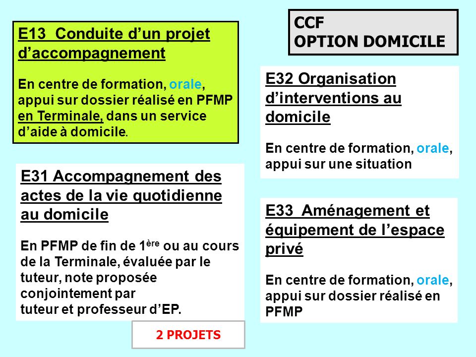 Projet Daccompagnement Bac Pro Assp E13 Exemple Le Meilleur Exemple